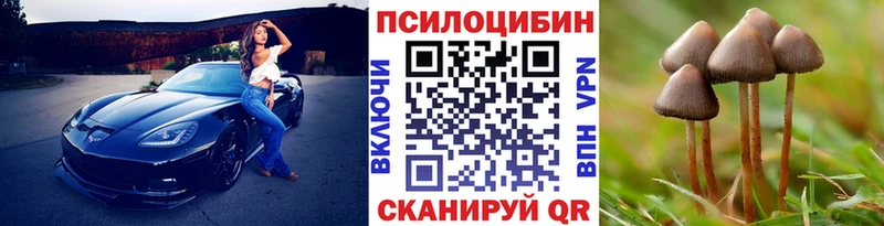 Галлюциногенные грибы Psilocybine cubensis  Калининск 